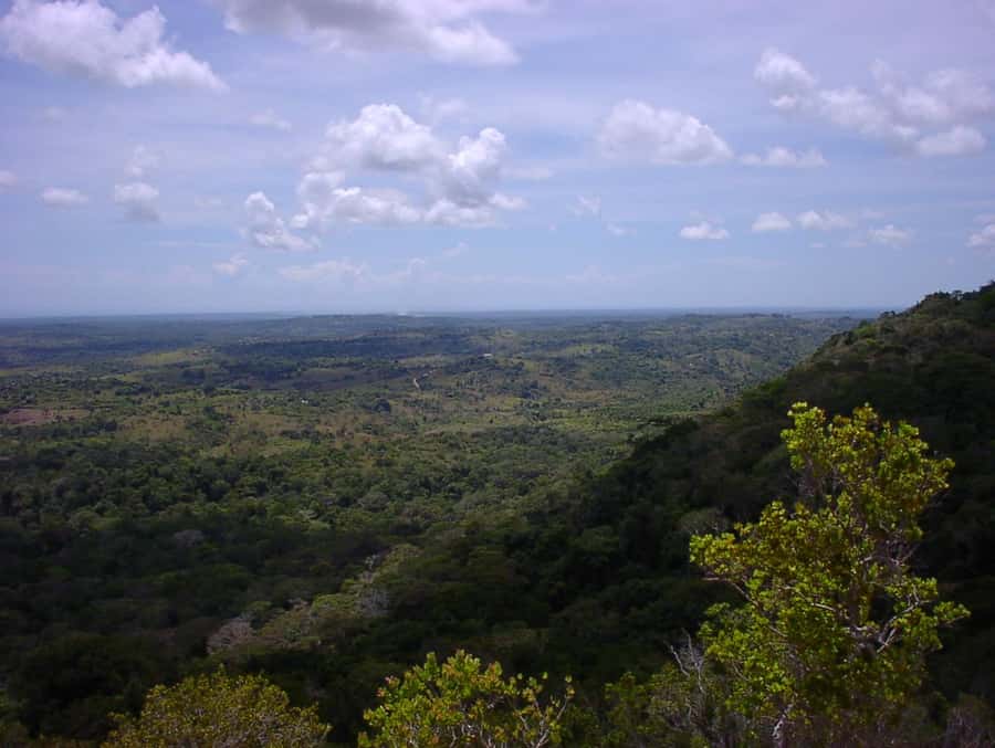 From Diani: Full Day Shimba hills tour with Sheldrick Falls - How the timing works in practice