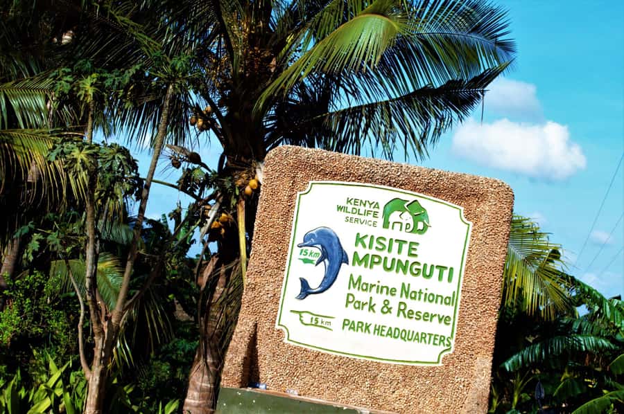 From Mombasa: Kisite Mpunguti Marine Park and Wasini Island - Searching for dolphins from the dhow