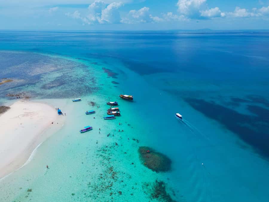 From Mombasa: Kisite Mpunguti Marine Park and Wasini Island - Who should book this day trip
