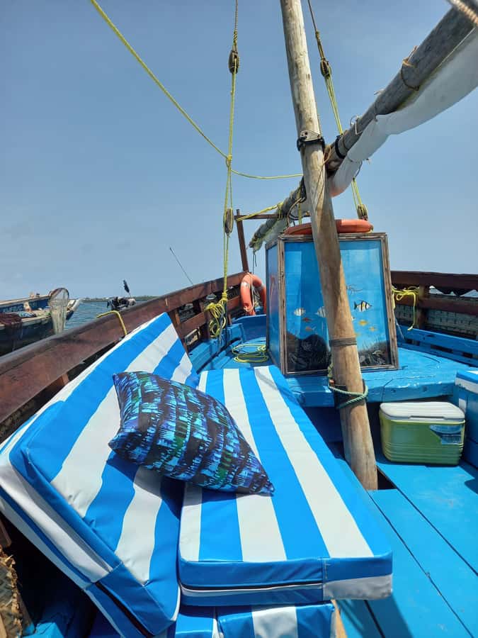 From Mombasa: Kisite Mpunguti Marine Park and Wasini Island - Snorkeling in the 28-square-kilometer marine park