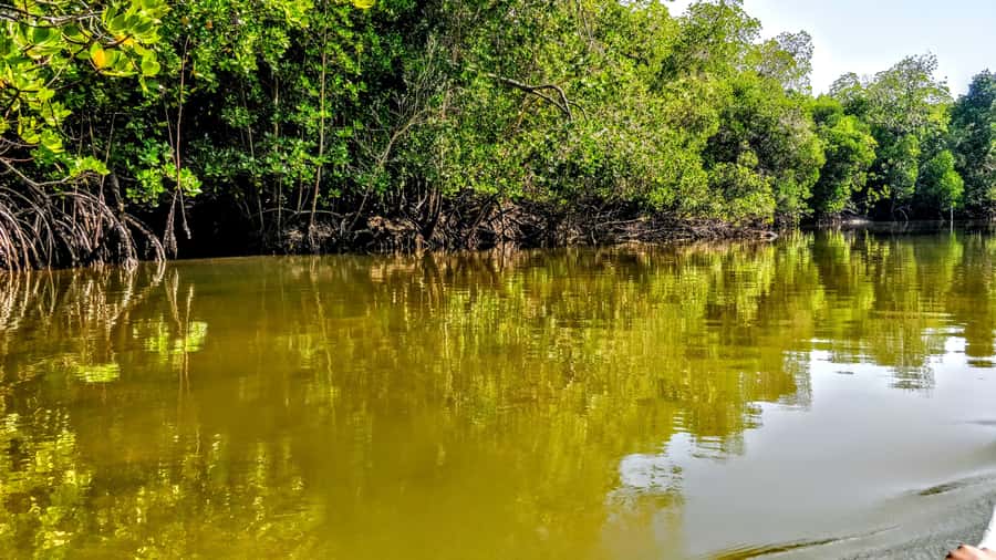 From Mombasa: Watamu Marine Park & Sudi Island Excursion - Key points to know before you go