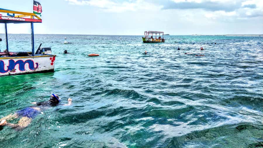 From Mombasa: Watamu Marine Park & Sudi Island Excursion - Dolphin spotting at Watamu Bay