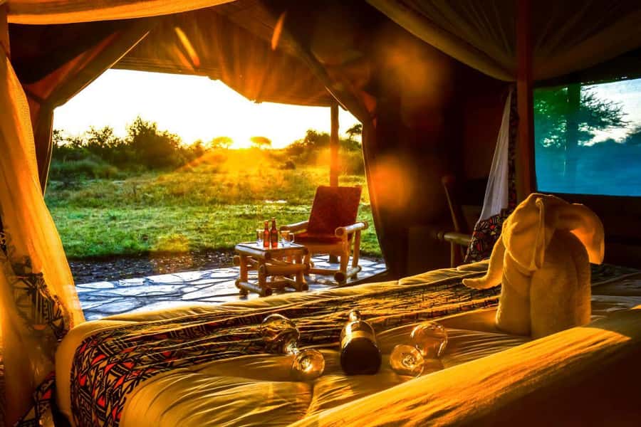 From Nairobi: 2-Day Naivasha Safari with Accommodation - Who should book this two-day safari