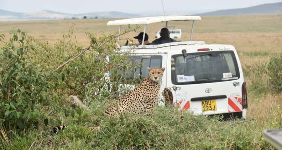 From Nairobi : 2-Days 1-Night Masai Mara Private 4WD Safari - Why this two-day Masai Mara safari works