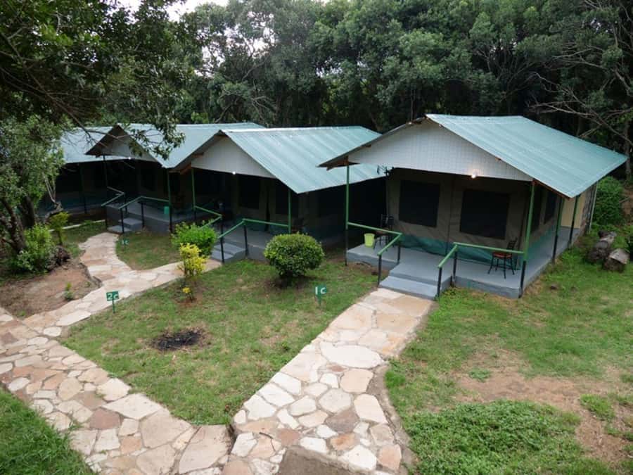 From Nairobi: 3 Days 2 Nights Masai Mara Group Safari - The guide can make or break the safari