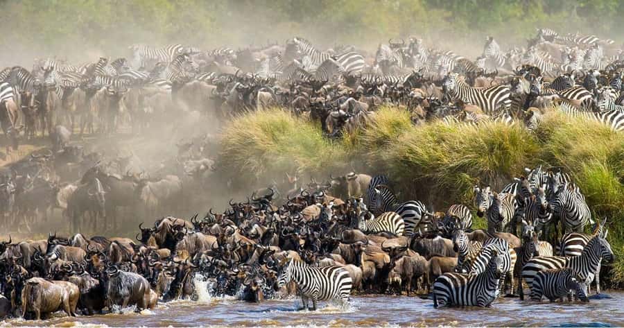 From Nairobi: 3 Days 2 Nights Masai Mara Group Safari - Small-group travel, vehicle space, and photography