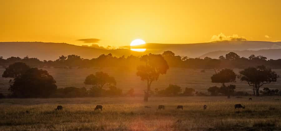 From Nairobi: 4-Day Maasai Mara and Lake Nakuru Group Safari - What the $350 price really covers