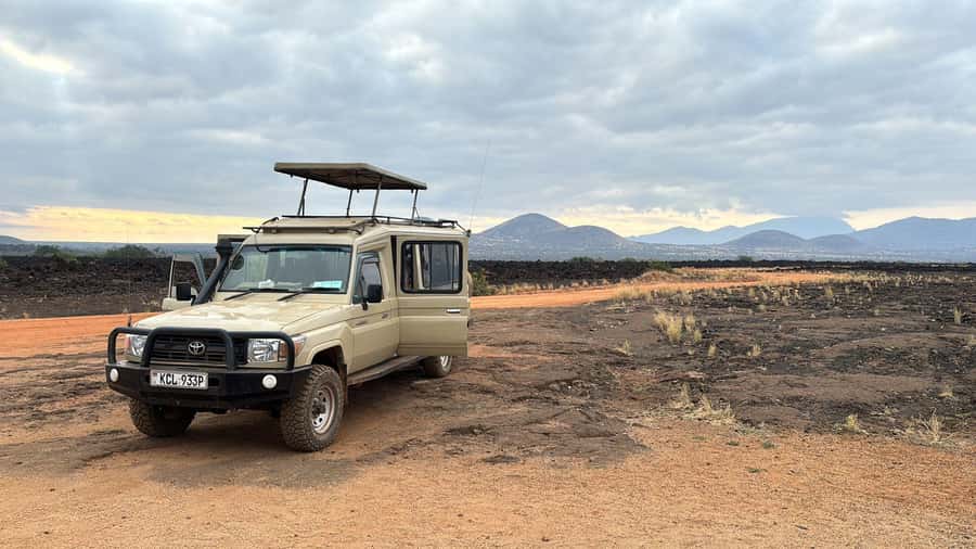 From Nairobi: 4-Day Maasai Mara and Lake Nakuru Group Safari - Day 2: A full day among Mara predators