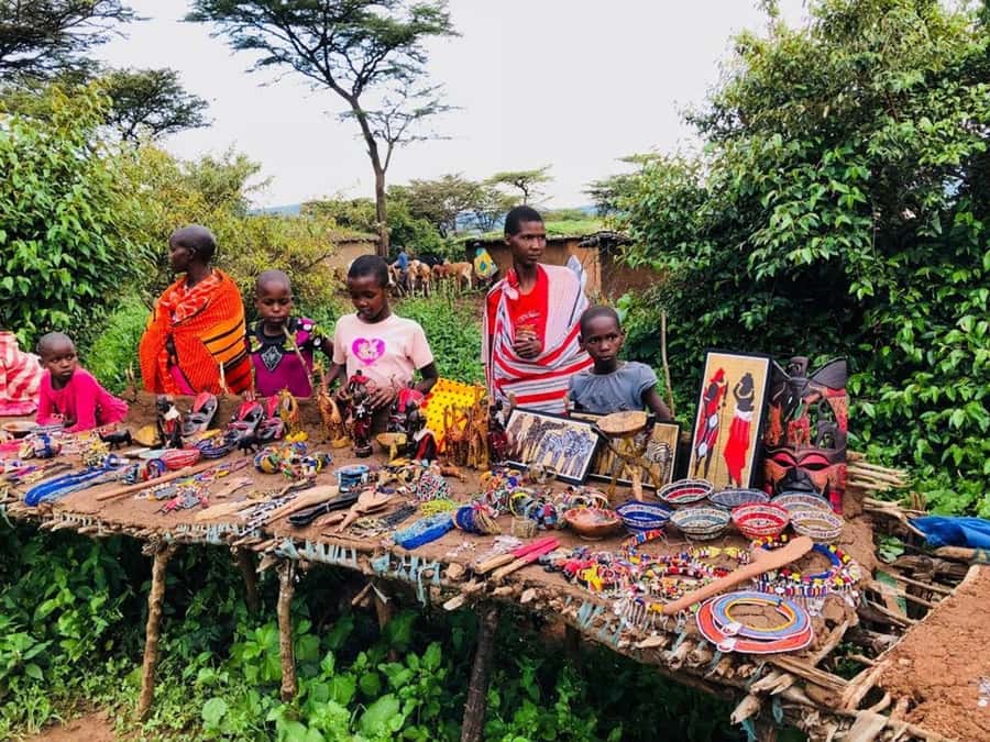 From Nairobi: 7 Days Masai Mara, Nakuru, and Amboseli Safari - Four parks and lakes in seven days