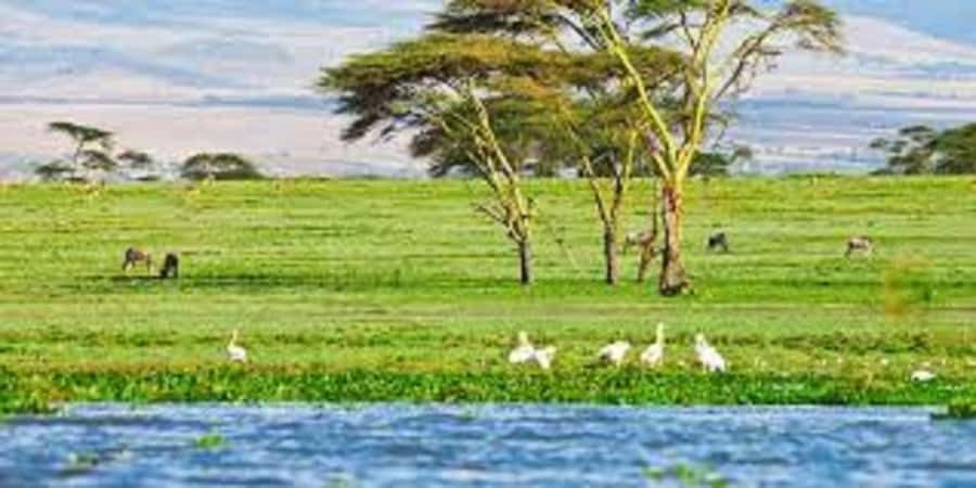 From Nairobi: Day Trip to Hells gate and Lake Naivasha - Who will enjoy this day most