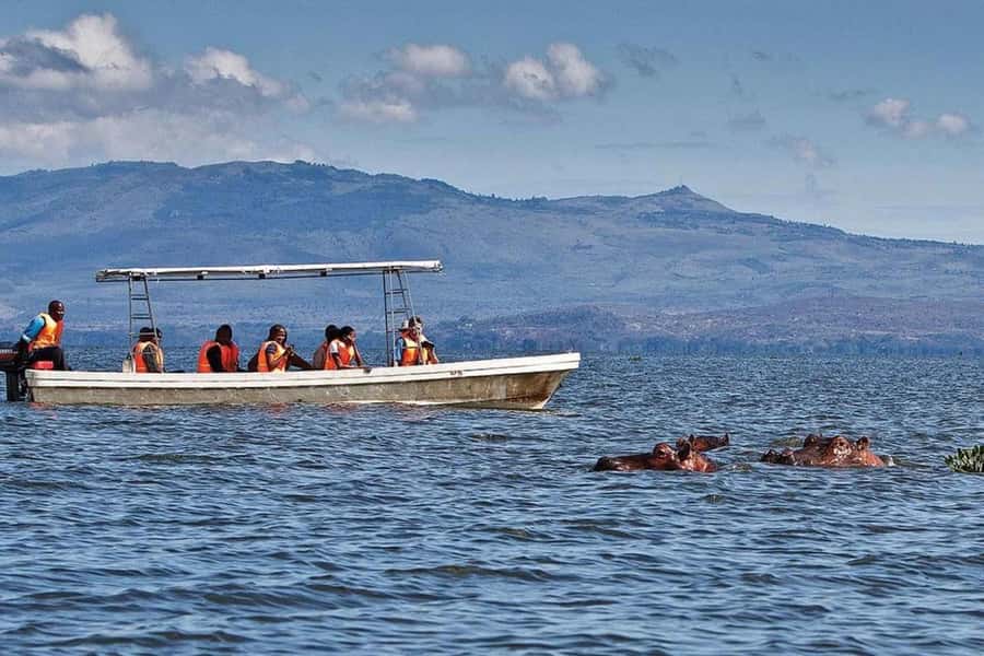 From Nairobi: Day Trip to Lake Naivasha and Hell's Gate - What the $80 price really buys