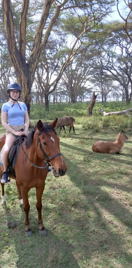 From Nairobi: Horseback Wildlife Safari with Transfer & Meal - What to bring and how to ride safely