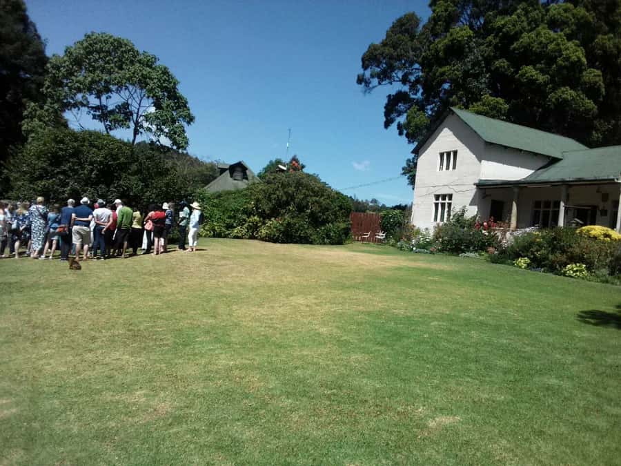 From Nairobi: Kiambethu Tea Farm Tour & Lunch - What the $160 price really buys