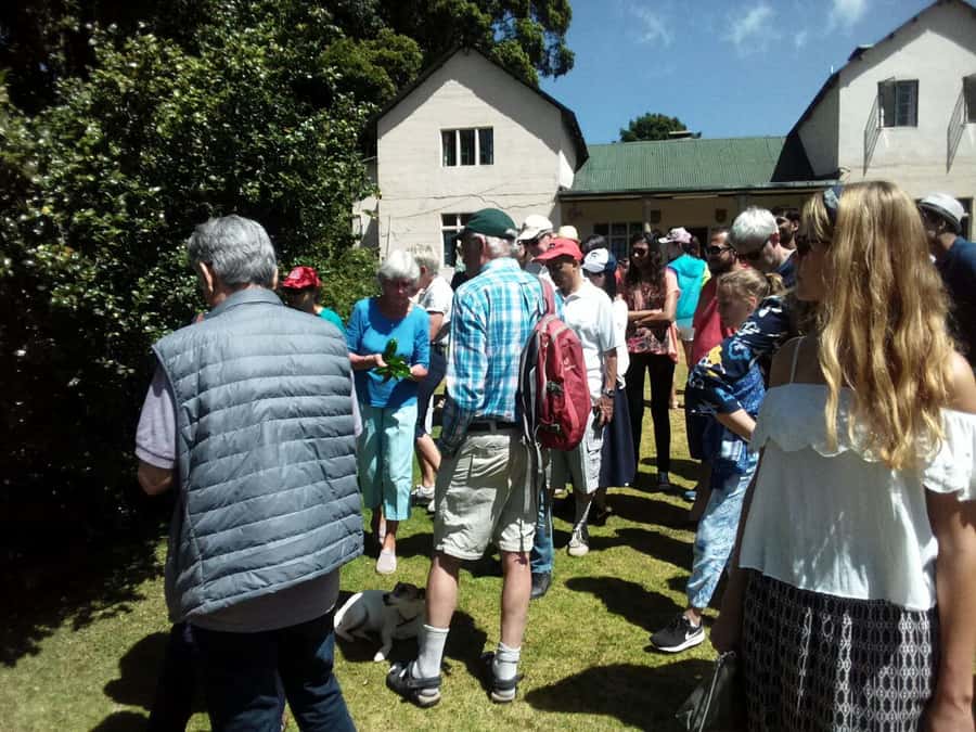 From Nairobi: Kiambethu Tea Farm Tour & Lunch - Who will enjoy this day most