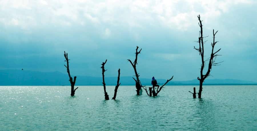 From Nairobi: Lake Naivasha and Hell's Gate Park Day Tour - Who should book this day trip