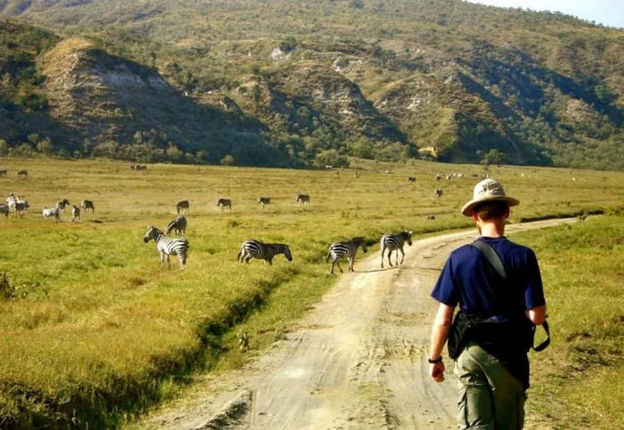 From Nairobi: Lake Naivasha and Hell's Gate Park Day Tour - Why the local guides matter