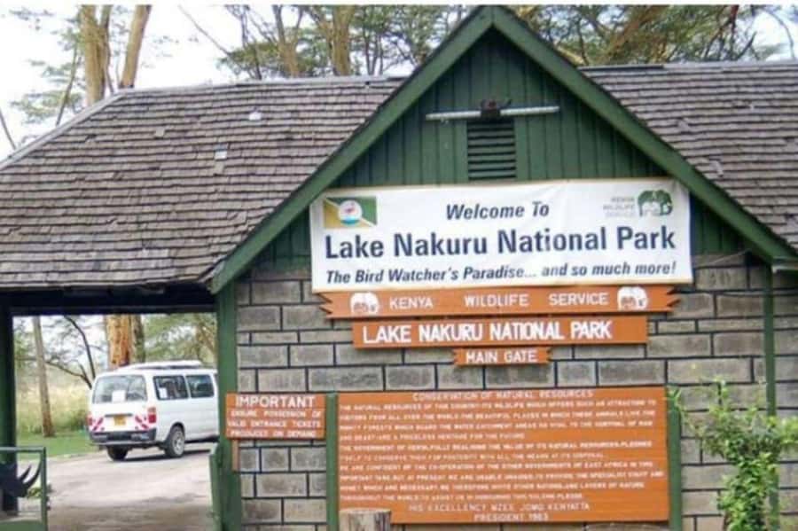 From Nairobi: Lake Nakuru National Park Full-Day Tour - Why Lake Nakuru works as a day trip from Nairobi
