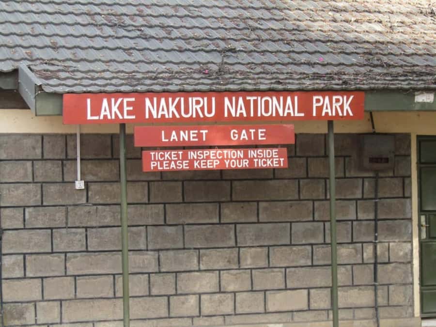 From Nairobi: Lake Nakuru National Park Full-Day Tour - My verdict on Lake Nakuru from Nairobi