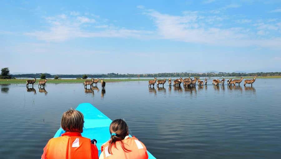 From Nairobi: Lakes Nakuru & Naivasha National Park Day Tour - Lake Nakuru gives the day its best wildlife odds