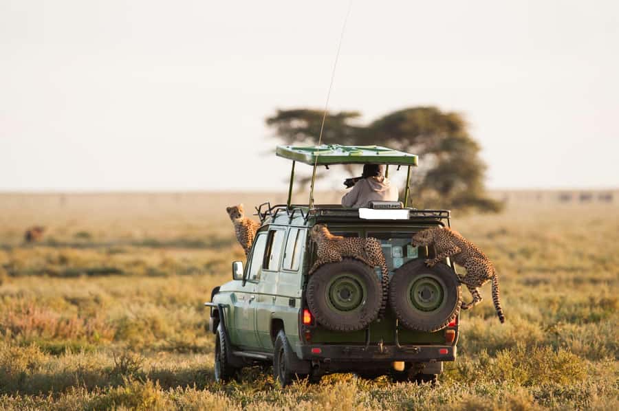 From Nairobi: Maasai Mara 3Day Budget Safari Holiday on Jeep - Key points to know before booking