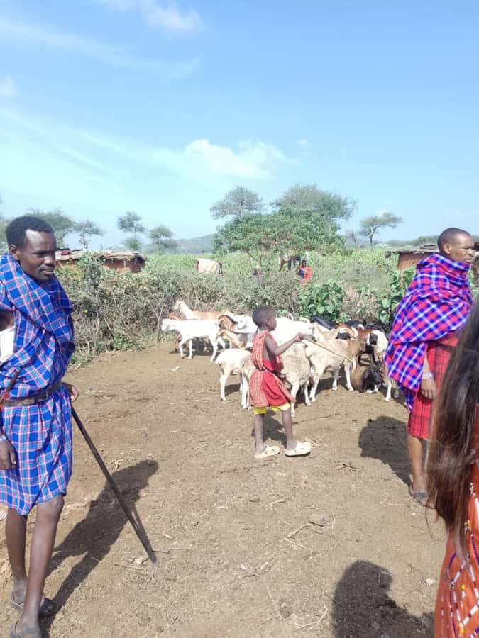 From Nairobi: Masai Tribe Village Visit - Singing, jumping, and Maasai performance