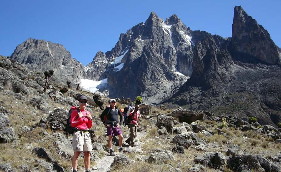 From Nairobi: Mount Kenya National Park Full-Day Hike - Forest birds and possible animal sightings