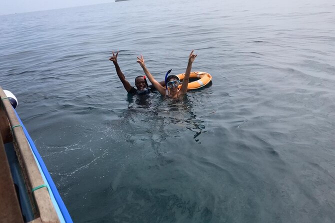 Full Day Dolphin Watching with Snorkeling in Wasini - What the $113 price really covers