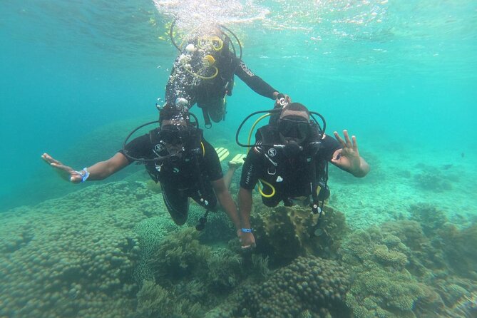 Full Day Dolphin Watching with Snorkeling in Wasini - The early pickup and road to Shimoni
