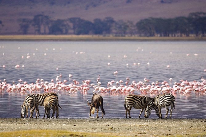 Full-Day Lake Nakuru National Park from Nairobi - Crossing the Great Rift Valley