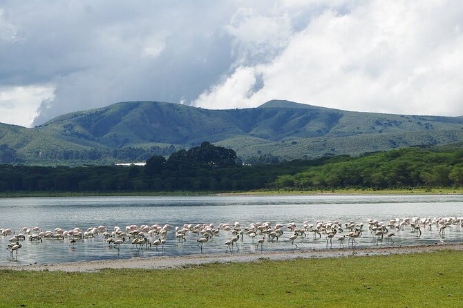 Full-Day Lake Nakuru National Park Private Tour from Nairobi - Arriving at Lake Nakuru around 9:00am