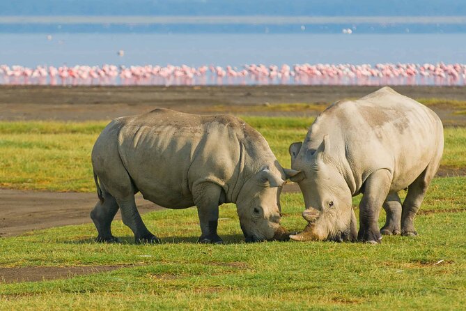 Full-Day Lake Nakuru National Park Private Tour from Nairobi - Lunch at Lake Nakuru Lodge