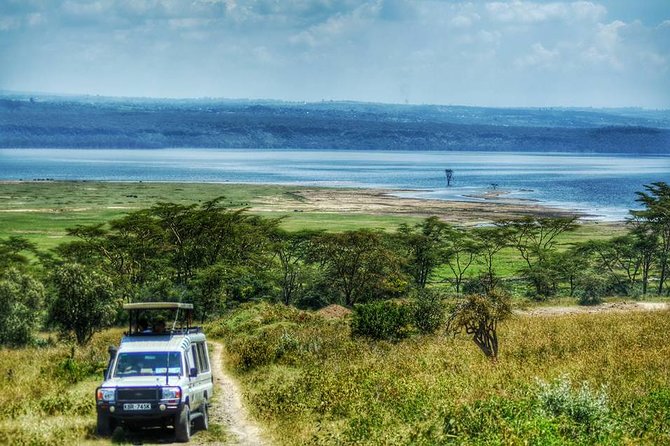 Full Day Lake Nakuru Park and optional boat ride on Lake Naivasha - How the private format affects value