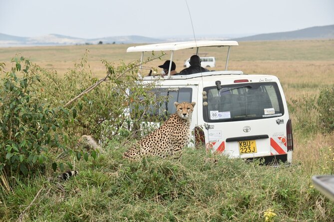 Full Day Private Tour of Tsavo East National Park from Mombasa - Lunch inside Tsavo East