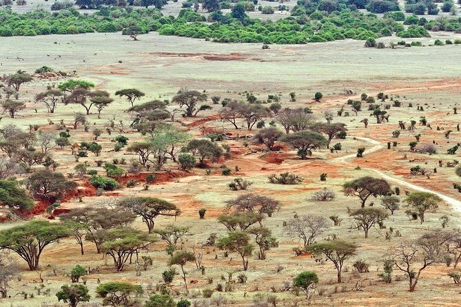 Full Day Private Tour of Tsavo East National Park from Mombasa - The afternoon drive and exit from the park