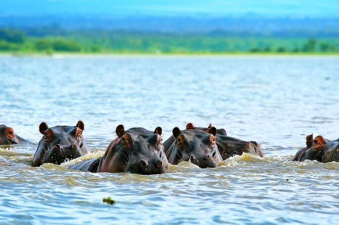Full day private tour to Hells Gate National park from Nairobi. - How demanding is the day?