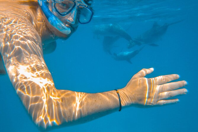 Full-Day Special Wasini Island Tour with Snorkeling and Lunch - Key points to know before you book