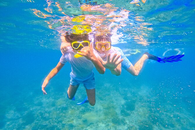Full-Day Special Wasini Island Tour with Snorkeling and Lunch - What the $126.78 price really covers