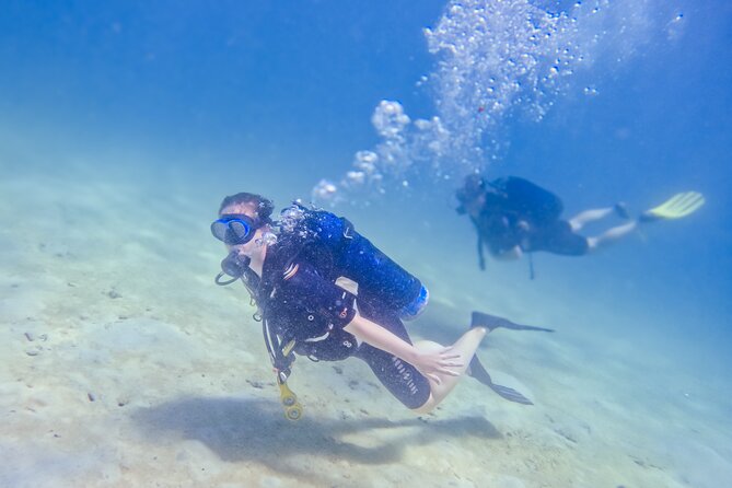 Full-Day Special Wasini Island Tour with Snorkeling and Lunch - Crew service and safety in the water