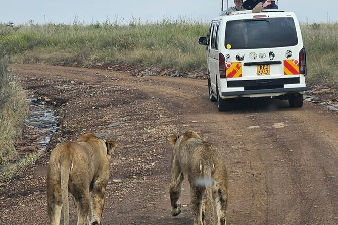 Full Day Tour in Amboseli National Park from Nairobi - Kilimanjaro views and Amboseli’s wildlife