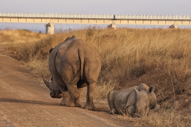 Full Day Tour in Amboseli National Park from Nairobi - The afternoon drive and exit from the park