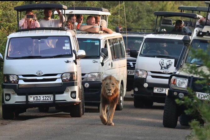 Full Day Tour in Amboseli National Park from Nairobi - Meeting the Maasai community