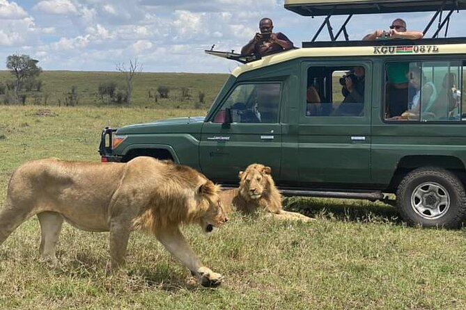 Full Day tour to Lake Nakuru National Park From Nairobi - Lunch at Lake Nakuru Lodge or a picnic in the park