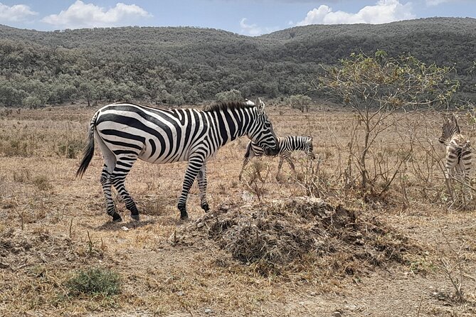 Full Day tour to Lake Nakuru National Park From Nairobi - A one-hour boat ride on Lake Naivasha