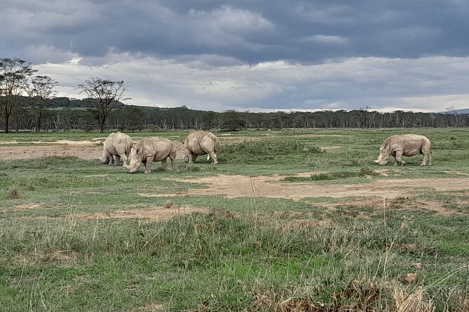 Full Day tour to Lake Nakuru National Park From Nairobi - Who will enjoy this day most