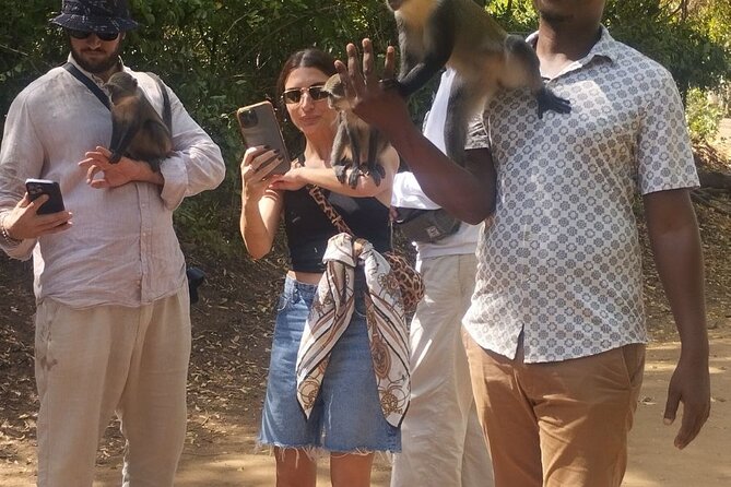 Gede Ruins & Malindi Tour - From ancient settlement to coastal Malindi