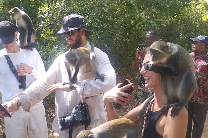 Gede Ruins & Malindi Tour - A private tour that makes sense for small groups