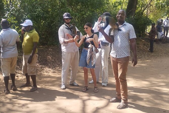Gede Ruins & Malindi Tour - How the six-hour schedule works