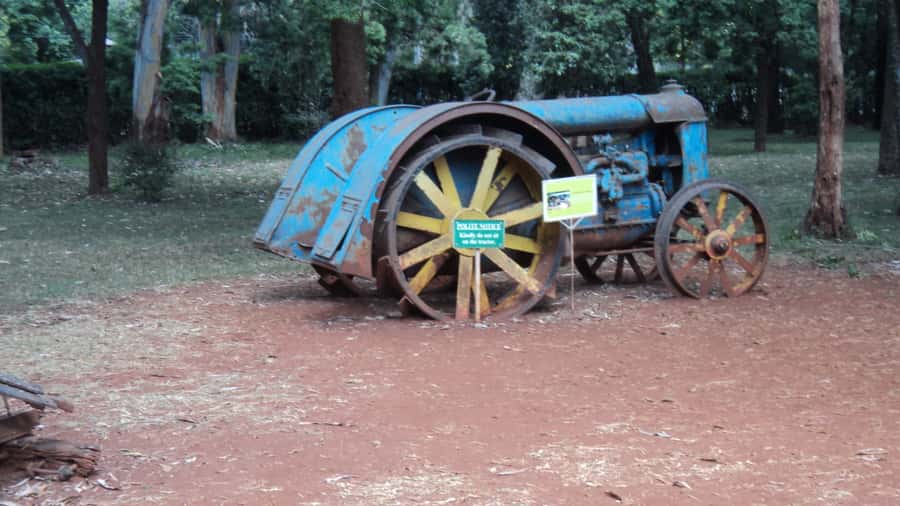 Giraffe Center and Karen Blixen Museum Tour from Nairobi - Key points at a glance