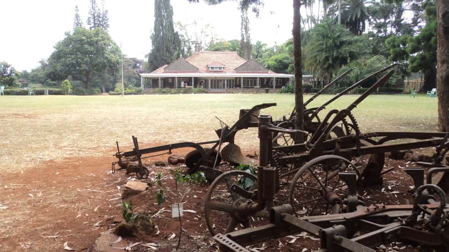 Giraffe Center and Karen Blixen Museum Tour from Nairobi - What the guide adds