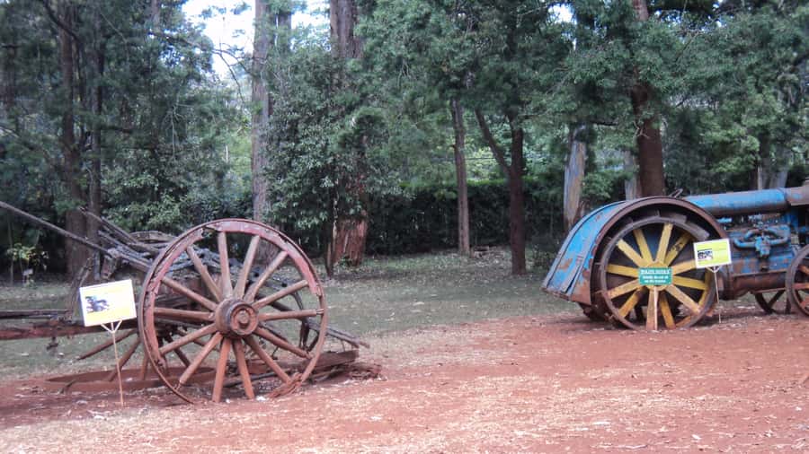 Giraffe Center and Karen Blixen Museum Tour from Nairobi - Transport, timing, and the real cost